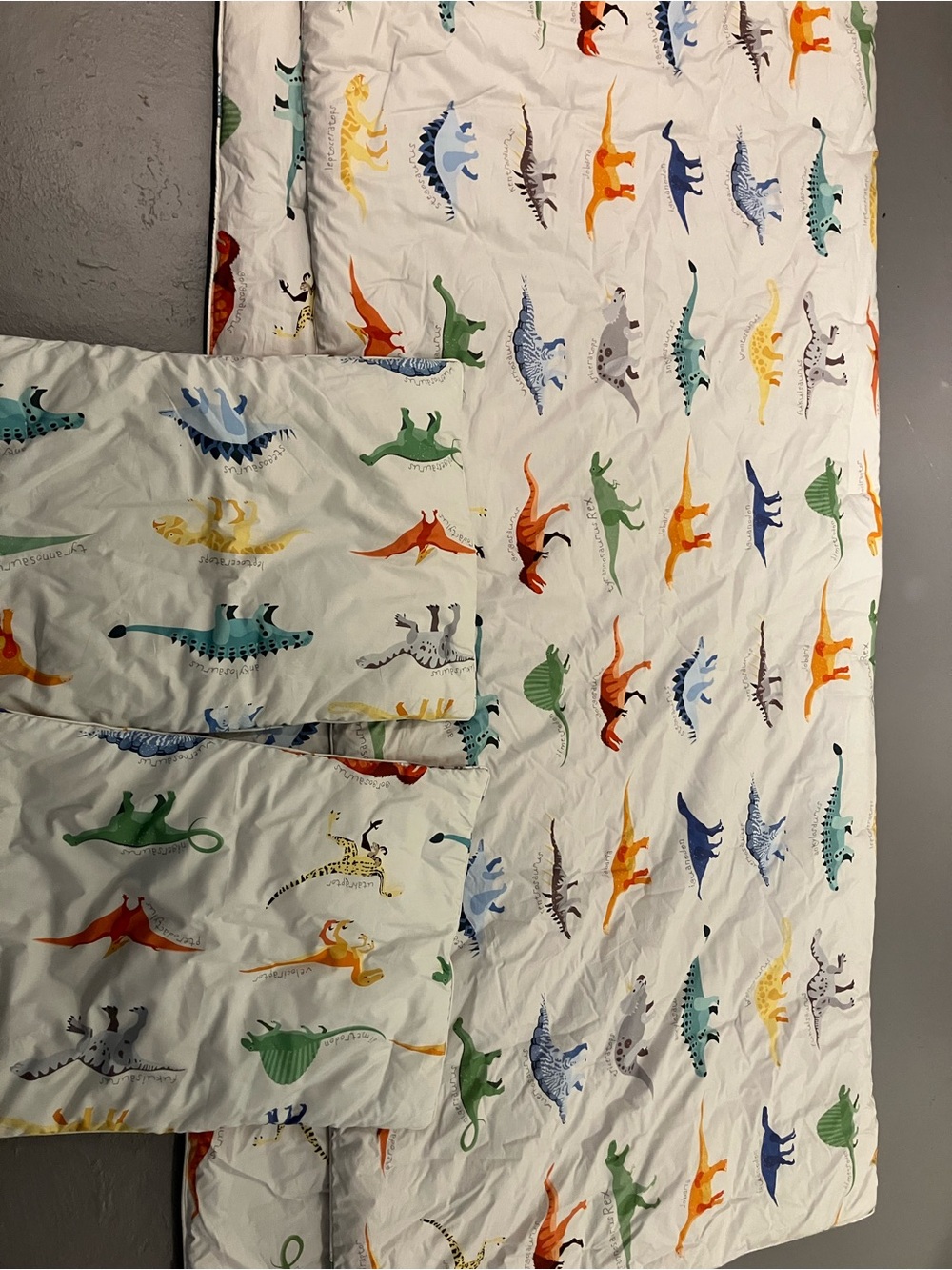 Pottery Barn Kids FULL SIZE Finn Dinosaur comforter Set